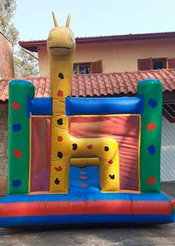 Profissional para recreação infantil